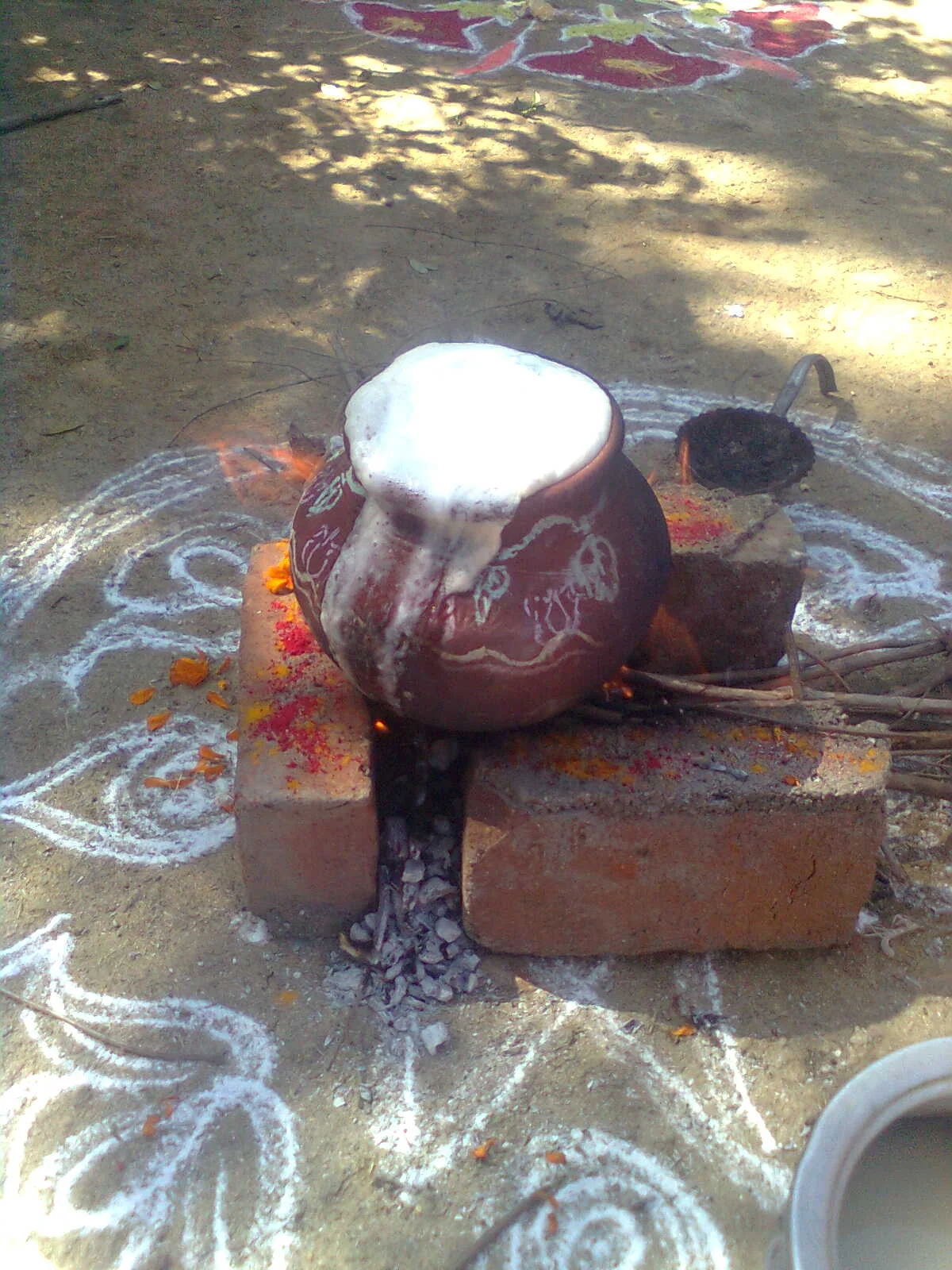 Pongal