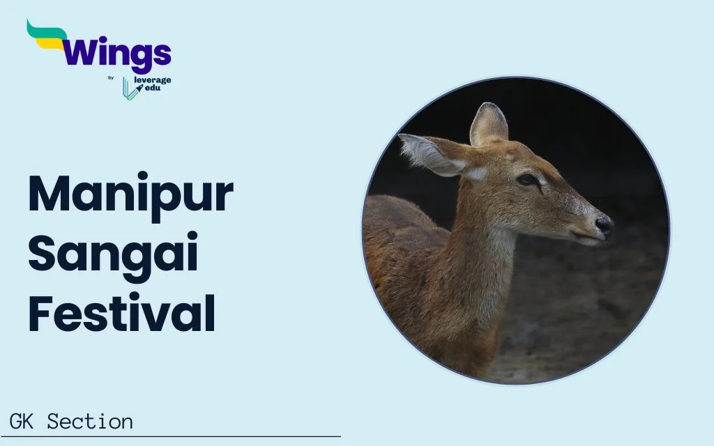 Sangai Festival