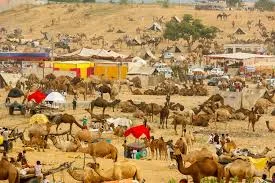 Pushkar Fair 