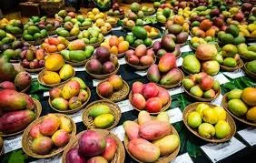 Mango Mela