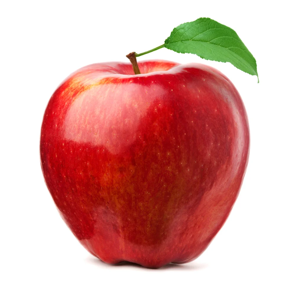 State Fruit: Apple
