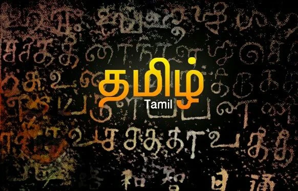 Longest Continuous Writing of Tamil Literature by an Individual