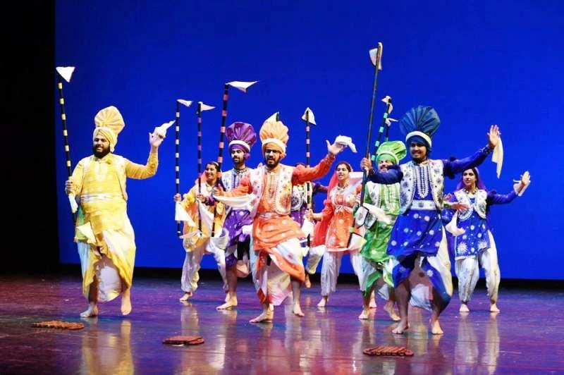 Longest Non-Stop Punjabi Folk Dance Luddi