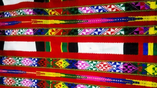 Traditional Art Showcase - Mizoram Handloom & Handicraft Festival (2016)