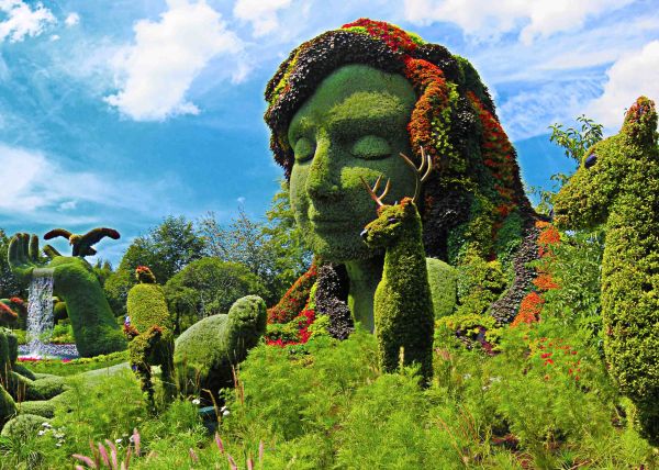 The largest botanical garden of India