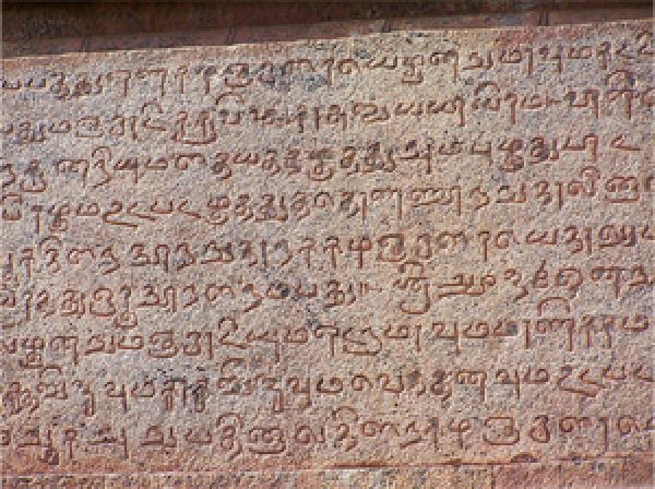 Oldest living language of India and the world