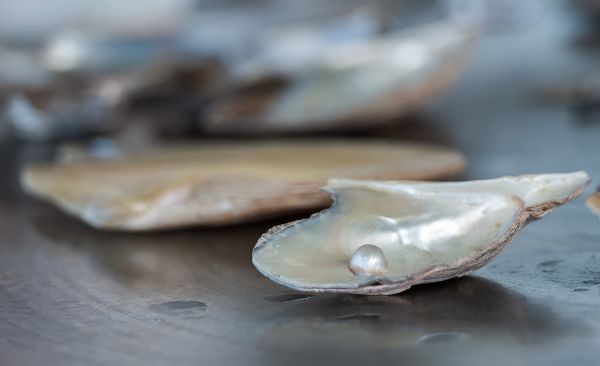 Creating a Pearl Takes Much More Than Just a Grain of Sand