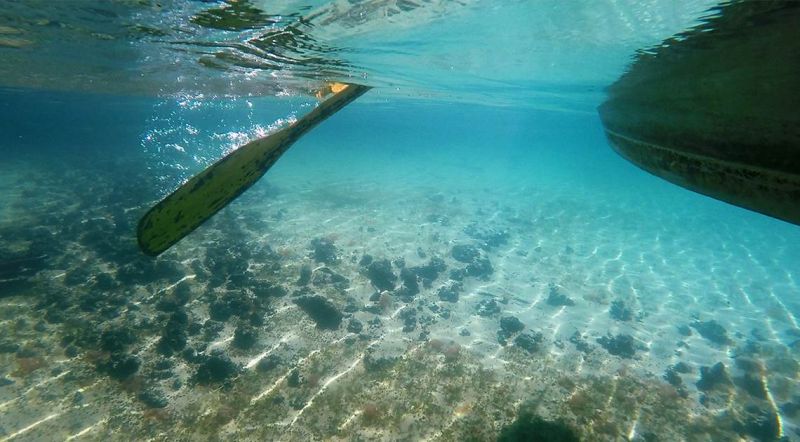 Peer Into the Frozen Forest of Oregon’s Clear Lake